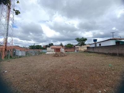 Terreno para Venda, em Palmeira dos ndios, bairro Jos Maia Costa