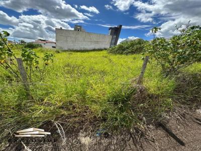 Lote para Venda, em Patos de Minas, bairro Jardim Califrnia