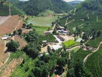 Fazenda para Venda, em , bairro 0