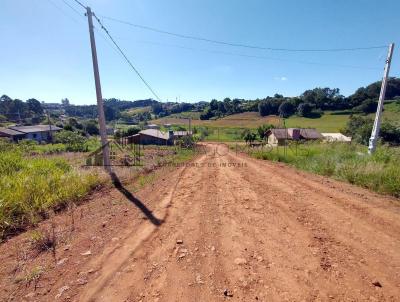 Terreno para Venda, em Trindade do Sul, bairro Burit