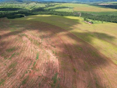 Fazenda para Venda, em Prata, bairro Zona Rural