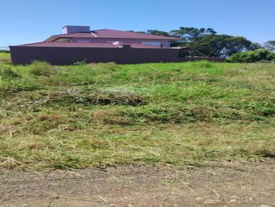 Terreno para Venda, em Concrdia, bairro Santo Antonio