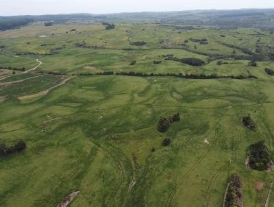 rea Rural para Venda, em Pedras Altas, bairro Pedras Altas