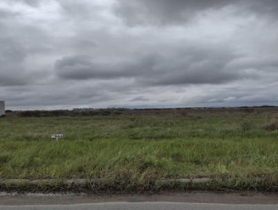 Terreno para Venda, em Pelotas, bairro Trs Vendas