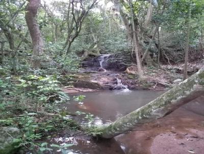 Stio / Chcara para Venda, em Barra do Ribeiro, bairro Cavalhada