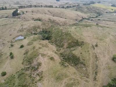 rea Rural para Venda, em Pedras Altas, bairro 1Distrito