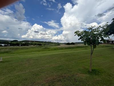 Terreno para Venda, em Sertanpolis, bairro Aurora