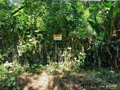 Terreno para Venda, em Niteri, bairro Serra Grande