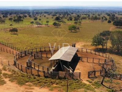 Fazenda para Venda, em Coxim, bairro Zona Rural