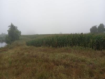 Stio / Chcara para Venda, em Santa Maria do Herval, bairro Padre Eterno Alto