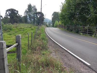 Stio / Chcara para Venda, em Gramado, bairro Serra Grande