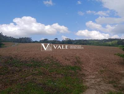 Terreno para Venda, em Vidal Ramos, bairro 