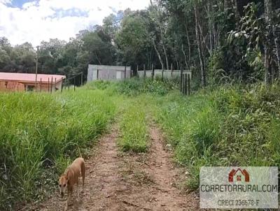 Chcara para Venda, em Piedade, bairro Ortizes