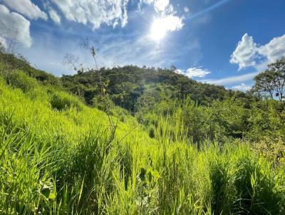 Fazenda para Venda, em Itanhomi, bairro Carneiro
