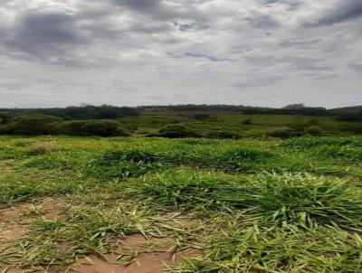 Terreno para Venda, em Vinhedo, bairro Monte Alegre