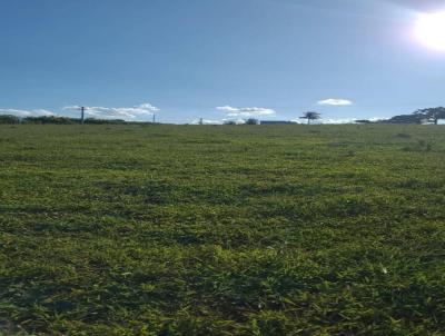 Terreno para Venda, em Jundia, bairro Parque So Luiz