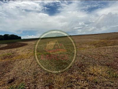 Fazenda para Locao, em Arapoti, bairro .