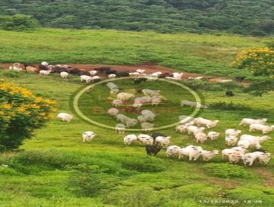 rea Rural para Locao, em Guaraniau, bairro .