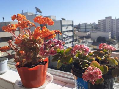 Apartamento para Locao, em Pelotas, bairro Centro, 3 dormitrios, 4 banheiros, 1 sute, 1 vaga