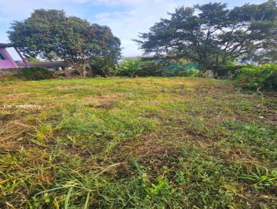 Terreno para Venda, em So Leopoldo, bairro Pinheiro