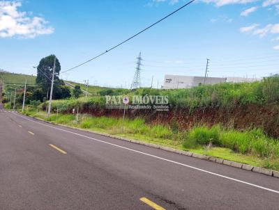 Terreno para Venda, em Pato Branco, bairro So Luiz