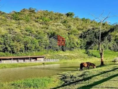 Stio para Venda, em Natividade da Serra, bairro , 3 dormitrios, 3 banheiros