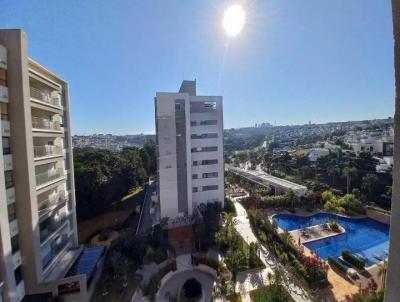 imagem-miniatura