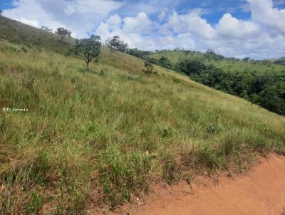 rea Rural para Venda, em Prados, bairro Colnia Santa Ins