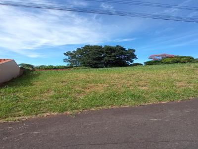Terreno para Venda, em Apucarana, bairro Vila So Jos