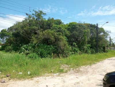 Terreno para Venda, em Itanham, bairro Luizamar Mirim