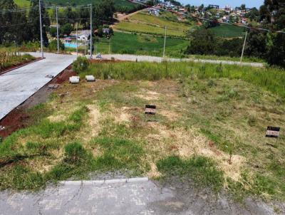 Terreno para Venda, em Trindade do Sul, bairro Centro