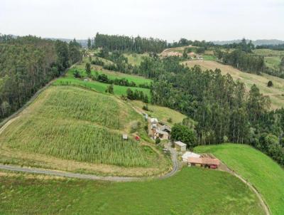 S�tio para Venda, em Witmarsum, bairro Catangara, 3 dormit�rios, 1 banheiro, 1 vaga