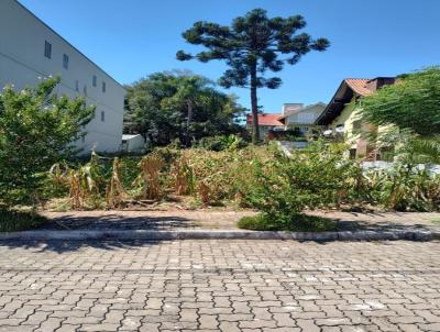 Terreno Urbano para Venda, em Nova Petrpolis, bairro Logradouro