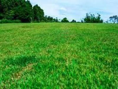 Terreno em Condomnio para Venda, em Ribeiro Preto, bairro Residencial Alto do Castelo