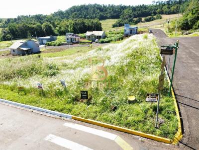 Terreno para Venda, em Nova Candelria, bairro rea Rural de Santa Rosa