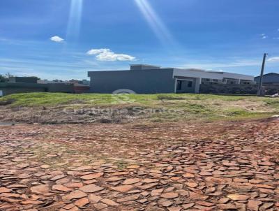 Terreno Urbano para Venda, em Santa Rosa, bairro Central