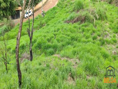 Terreno para Venda, em Atibaia, bairro Vitria Rgia