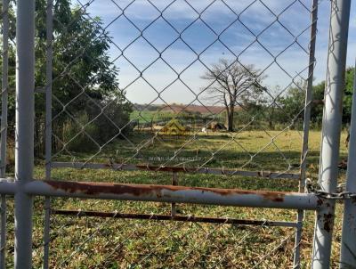 Chcara para Venda, em So Jos do Rio Preto, bairro Estancia Vila azul