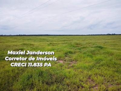 Fazenda para Venda, em Altamira, bairro Cachoeira da Serra