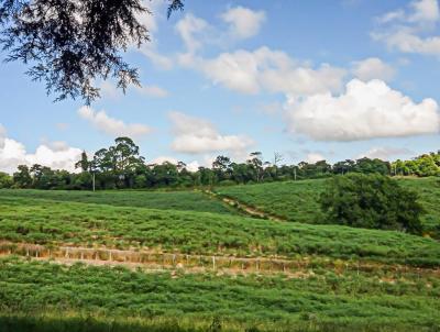 Stio para Venda, em Atibaia, bairro Iara