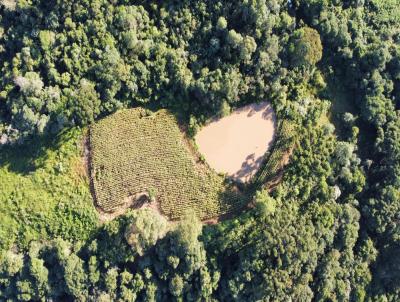 rea Rural para Venda, em Santa Maria do Herval, bairro Boa Vista do Herval