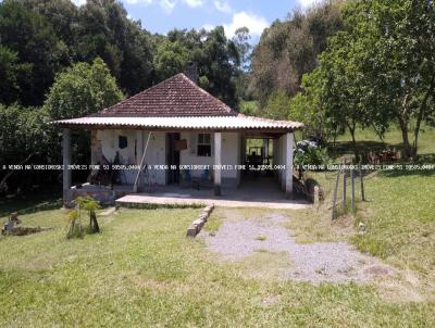 Stio / Chcara para Venda, em Barra do Ribeiro, bairro Douradilho - Barra do Ribeiro - RS