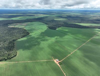 Fazenda para Venda, em Lucas do Rio Verde, bairro Rural