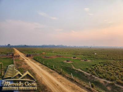 Fazenda para Venda, em , bairro Zona Rural