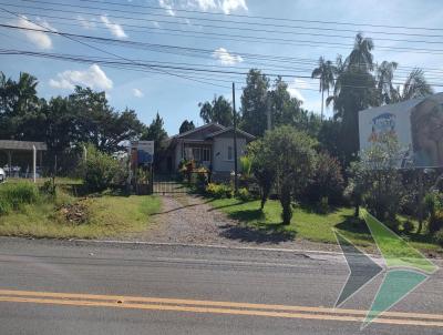 Terreno para Venda, em Tai, bairro Padre Eduardo, 4 dormitrios, 2 banheiros, 2 vagas