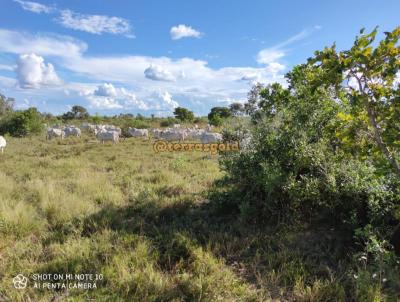 Fazenda para Locao, em Baro de Melgao, bairro Zona rural