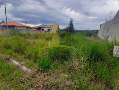 Terreno para Venda, em Castro, bairro Loteamento Alpha Royal