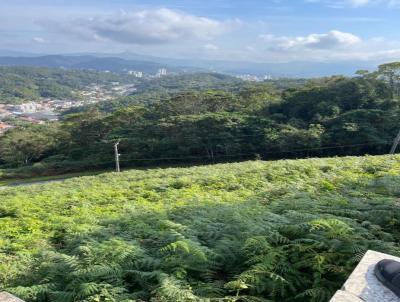 Terreno para Venda, em Brusque, bairro Primeiro de Maio