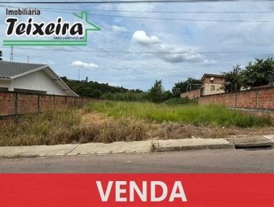 Terreno para Venda, em Jaguariava, bairro Jardim Edith