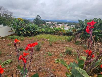 Terreno para Venda, em So Leopoldo, bairro Jardim Das Acacias